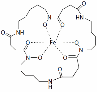 Structure of ferrioxamine E Structure of ferrioxamine E