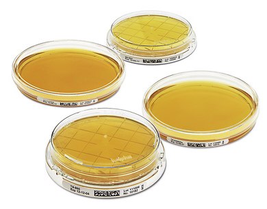 Non-irradiated contact plates Non-irradiated contact plates