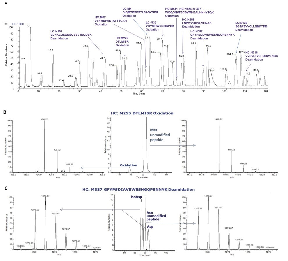 Three chromatograms showing base peak chromatogram of tryptic digested NISTmAb, extracted ion chromatogram and MS spectrum of the peptide DTLMISR and peptide with an oxidized methionine residue, and XIC and MS spectrum of a peptide and deamidated peptide 