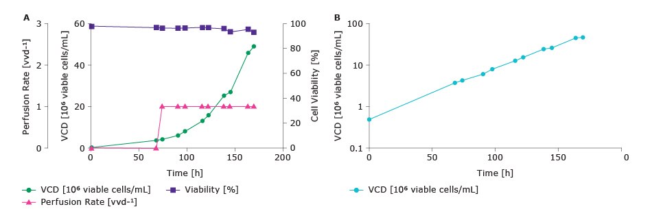 CHOZN® GS cell line