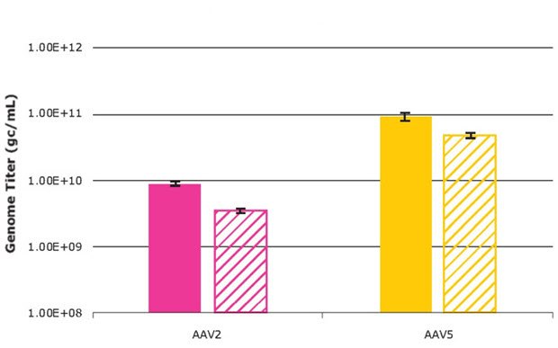 AAV genome titers (ddPCR) for AAV2 and AAV5 produced in Mobius<sup>®</sup> 3 L Bioreactors (solid bars) and 250 mL shake flasks (hashed bars). Each bar represents average of replicate shake flasks or bioreactors; error bars are standard deviations. AAV2 and AAV5 genome titers produced from the VirusExpress® 293 AAV Production Platform