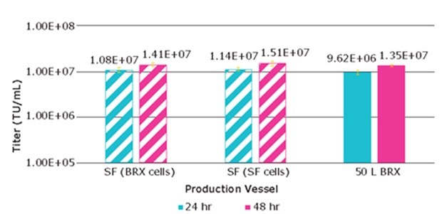 Lentivirus production from VirusExpress® 293T cells from shake flasks or bioreactor after 24 hours and 48 hours