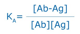 Antibody antigen equation