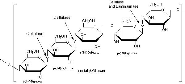 Polymer of β-(1-4)-D-glycopyranosyl units occurring as predominantly as cellotriose and cellotetraose separated by single β-(1-3)-D-glycopyranosyl units. Cross-linking can occur within the consecutive cellotriose regions. Polymer of β-(1-4)-D-glycopyranosyl units occurring as predominantly