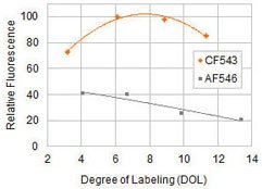 Relative fluorescence of CF543 and Alexa Fluor 546 (AF546) goat anti-mouse conjugates as a function of the number of dye molecules per protein (degree of labeling). Relative fluorescence of CF543