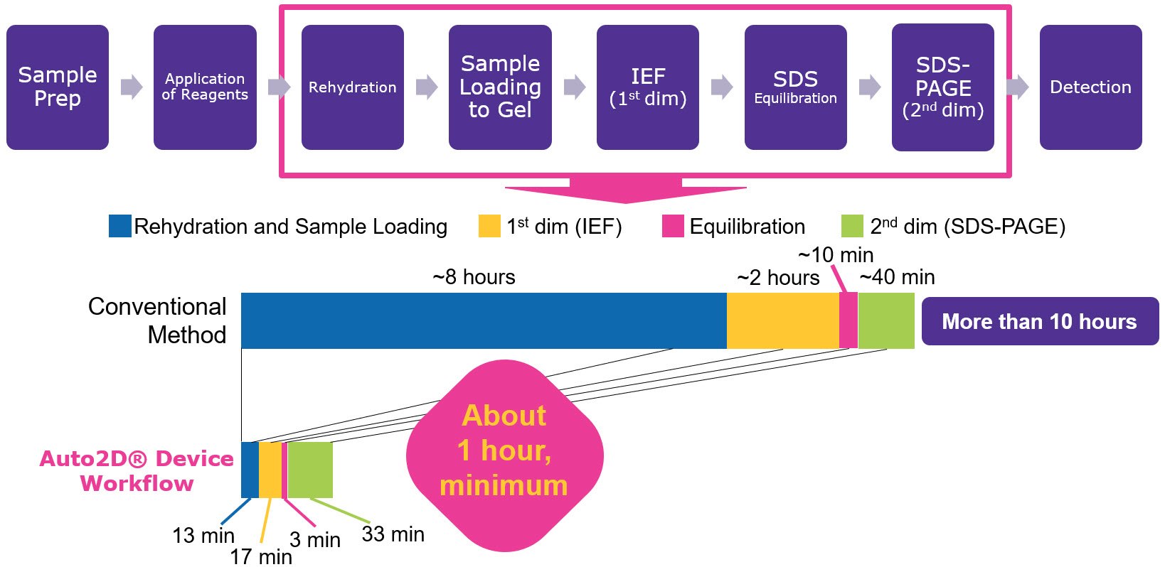 Two-dimensional gel electrophoresis workflow and the steps that are automated by the Auto2D® device.