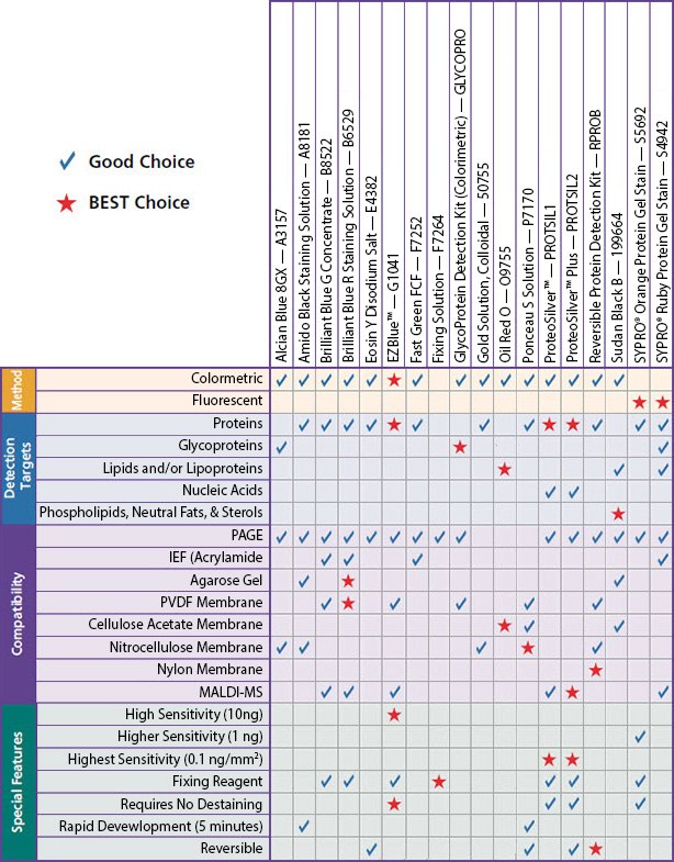 Protein Dyes and Stains Selection Chart