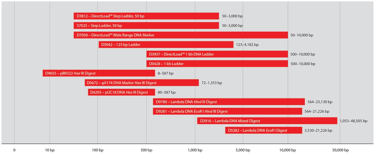 markers-and-ladders-selection-guide