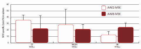 In Vivo CTL Assay for hFIX Specific Lysis in Mice