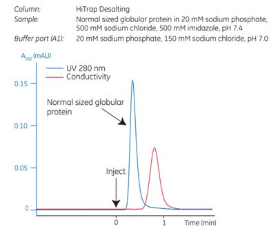 Typical desalting of a normal sized globular protein