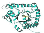 ISOGRO® Protein ISOGRO® Protein