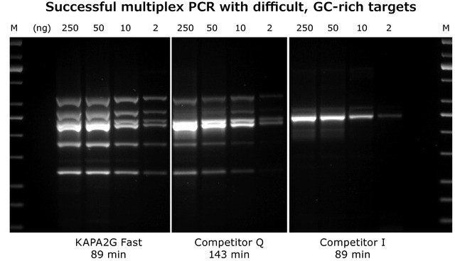 KAPA2G Fast Multiplex PCR Kit: 6-plex multiplex PCR with the KAPA2G Fast Multiplex PCR Kit, Competitor Q and Competitor I using the same cycling conditions (30 cycles). Figure 2: KAPA2G Fast Multiplex PCR Kit: 6-plex multiplex PCR with the KAPA2G Fast Multiplex PCR Kit, Competitor Q and Competitor I using the same cycling conditions (30 cycles).