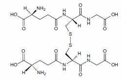 Structure of oxidized glutathione Structure of oxidized glutathione