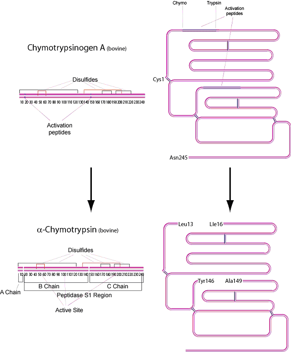 Physical Properties Physical Properties