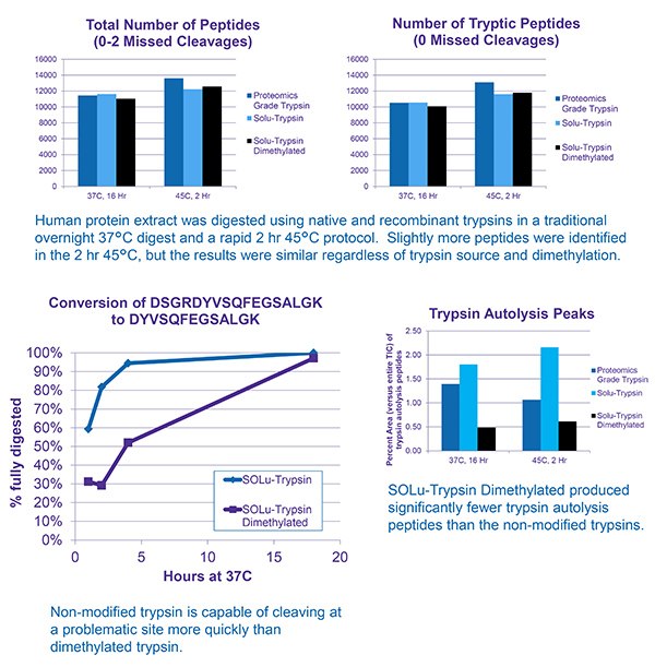 To Dimethylate or Not Dimethylate To Dimethylate or Not Dimethylate