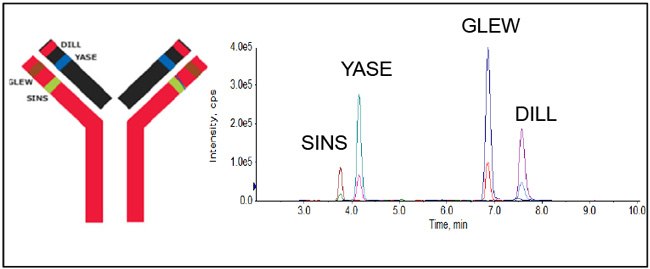 Extracted ion chromatogram (XIC) of four Infliximab-specific peptides. extracted-ion-chromatogram