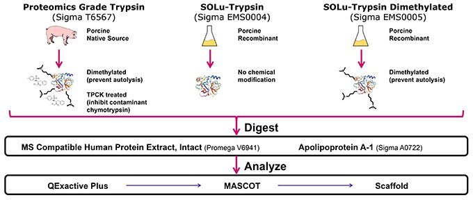 Materials and Methods Materials and Methods
