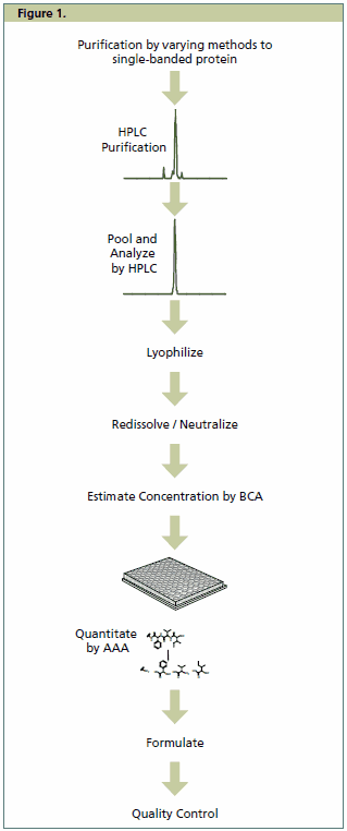Production of the Universal Proteomics Standards line follows a streamlined process. Production of the Universal Proteomics Standards line follows a streamlined process.