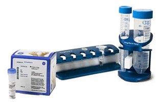 Protein A or Protein G Mag Sepharose (left image) offer simple enrichment of target protein in small or large sample volumes (low microliter to high milliliter scale) by use of MagRack 6 or MagRack Maxi (center and right images).