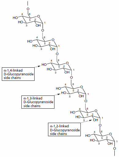 General structure of class 1 dextrans consisting of a linear backbone of α(1→6)-linked d-glucopyranosyl repeating units. The dextran may have branches of smaller chains of d-glucose linked to the backbone by α(1→2)- , α(1→3)- or α(1→4)- glycosidic bonds. General structure of class 1 dextrans consisting
