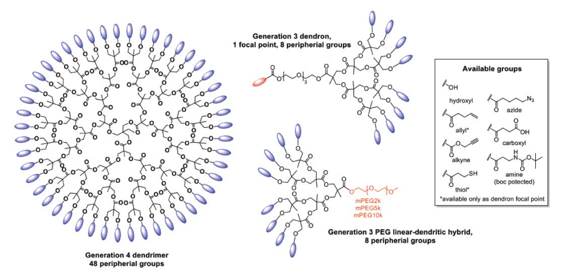 Examples of functional bis-MPA based dendritic structures commercially available through MilliporeSigma. functional bis-MPA based dendritic structures
