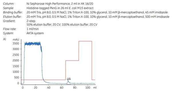 Purification without imidazole