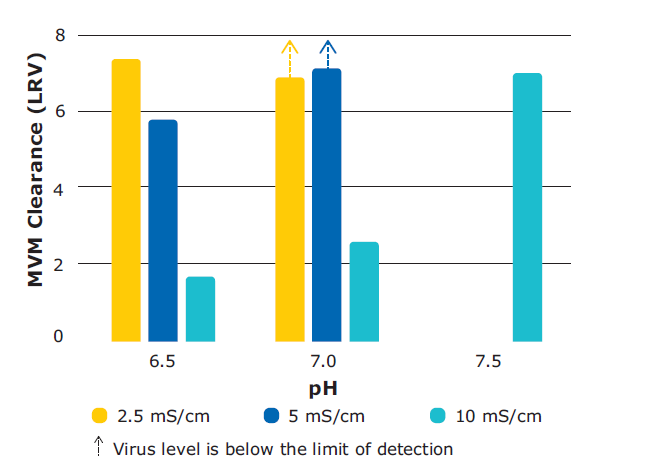 Robust, load independent viral clearance in monoclonal antibody purification with Natrix® Q chromatography membrane Robust MVM clearance