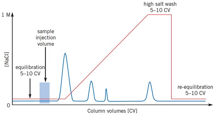 Sample still eluting when gradient begins