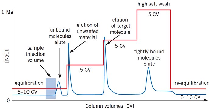 Typical IEX separation using step elution