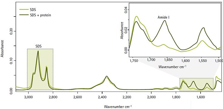 Measuring protein concentration without interference from SDS, thanks to nonoverlapping IR signals in the Direct Detect spectrometer. Measuring protein concentration without interference from SDS, thanks to nonoverlapping IR signals in the Direct Detect spectrometer.