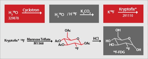 Positron Emission Tomography