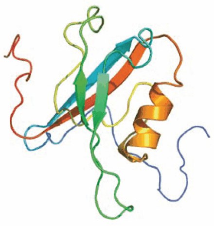 Interleukin 16 (IL-16), also know as lymphocyte chemoattractant factor LCF, is a proinflammatory cytokine that is chemotactic for CD4+ T lymphocytes, monocytes, and eosinophils.