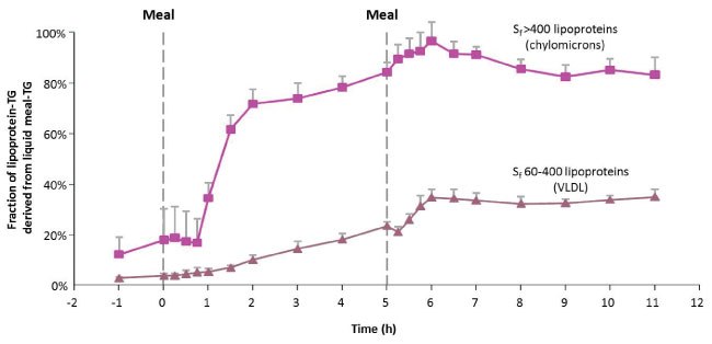 Healthy males (n=6, mean ± SEM) consumed two meals (0700 and 1200) of identical composition (32% fat, 54% carbohydrate, 14% protein), with each meal representing 1/3 of daily energy needs. D31-tripalmitin (1.6g) was mixed with the liquid formula containing 40 g of dietary fat/meal as described previously.26, 30 Lipoprotein TG-palmitate was analyzed by GC/MS. The d31-palmitate percentages (tracer/tracee) in the two lipoprotein fractions were compared to the TG enrichment in the liquid meal to calculate the percentage of lipoprotein-TG derived from the meal (Parks & Timlin unpublished data). Fraction lipoprotein-TG derived from the meal