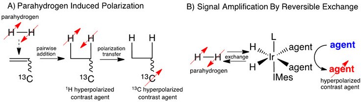 The schematic depiction of Parahydrogen Induced Polarization (PHIP) and Signal Amplification