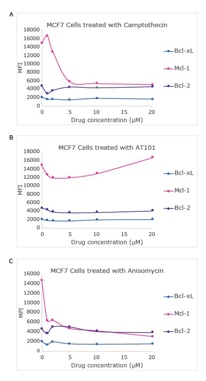 Graphs showing a drug dose-dependent study in MCF7 cell line using the MILLIPLEX® Bcl-2 Family Apoptosis Panel 2 (Cat. No. 48-683MAG) with varying concentrations of camptothecin, anisomycin, and AT101. Analytes measured include Bcl-xL, MCL-1, and Bcl-2.