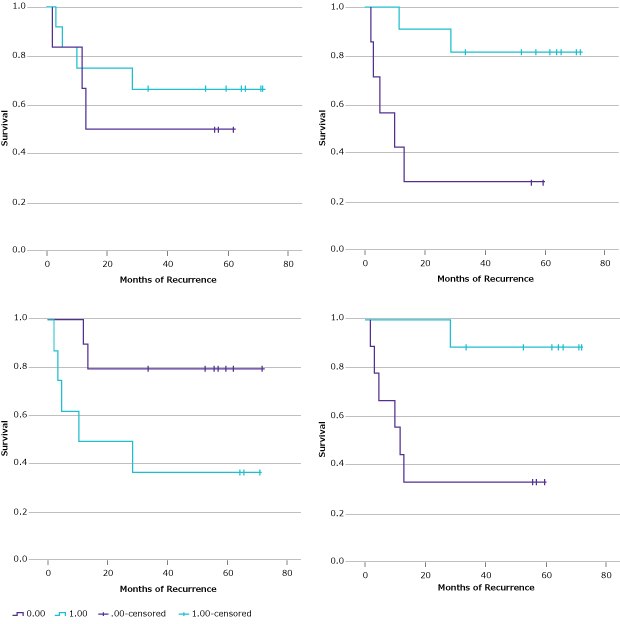 Graphs showing the Kaplan-Meier estimates of the median time to recurrence. Clinical outcomes for the T1-2N0M0 (“no metastatic progression”) and T1-3N1-2M0 (“locally advanced”) groups were evaluated via log-rank analysis for each of the 17 biomarkers for the median time to recurrence.