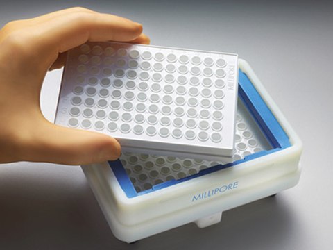 Image of the MultiScreen®HTS Vacuum Manifold (Cat. No. MSVMHTS00) for bioassay multiwell filter plate application.