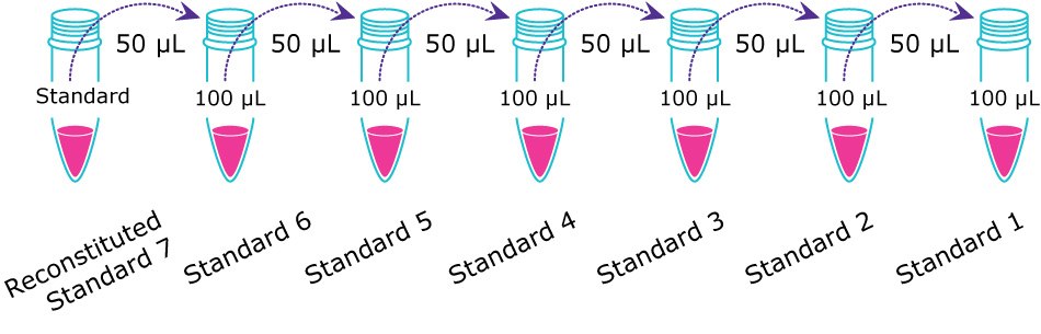 MILLIPLEX® Multiplex Assay Standard Prep Diagram showing an example of how to prepare standards or calibrators for running a MILLIPLEX® multiplex assay.