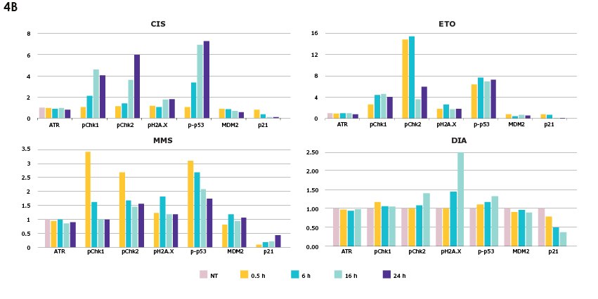 Changes in DNA damage response based on genotoxic and non-genotoxic compound treatment over a time course of 0, 0.5, 6, 16, and 24 hours in HEK293 cells. Analytes include total ATR, pChk1, pChk2, pH2A.X, p-p53, total MDM2, and total p21.