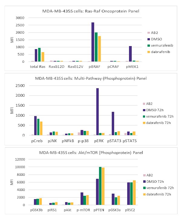 Graphs showing treatment of MDA-MB-435S cells using the MILLIPLEX® Ras-Raf Oncoprotein Panel (Cat. No. 48-684MAG), MILLIPLEX® Multi-Pathway Phosphoprotein Panel (Cat. No. 48-680MAG), and MILLIPLEX® Akt/mTOR Phosphoprotein Panel (Cat. No. 48-611MAG) with vemurafenib and dabrafenib. 