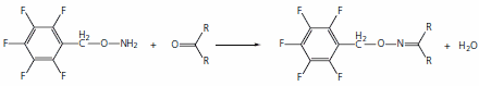 Reaction of PFBHA with aldehyde or ketone to form an oxime Reaction of PFBHA with aldehyde or ketone to form an oxime