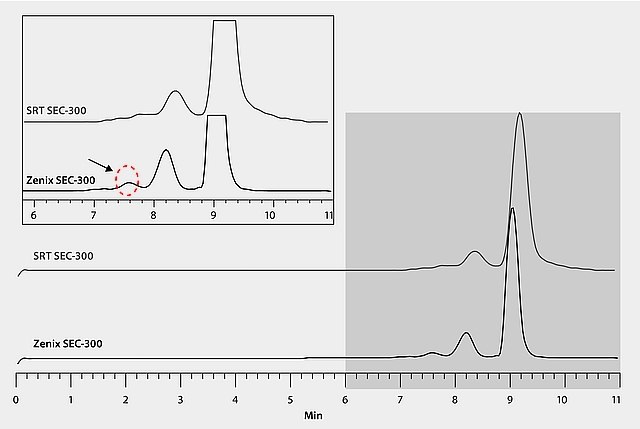 bovine-serum-albumin
