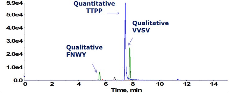 Total ion chromatogram of three selected signature peptides, one quantitative (TTPP) and two qualitative (VVSV and FNWY), used for universal analysis of IgG1 therapeutic drug antibodies in preclinical studies