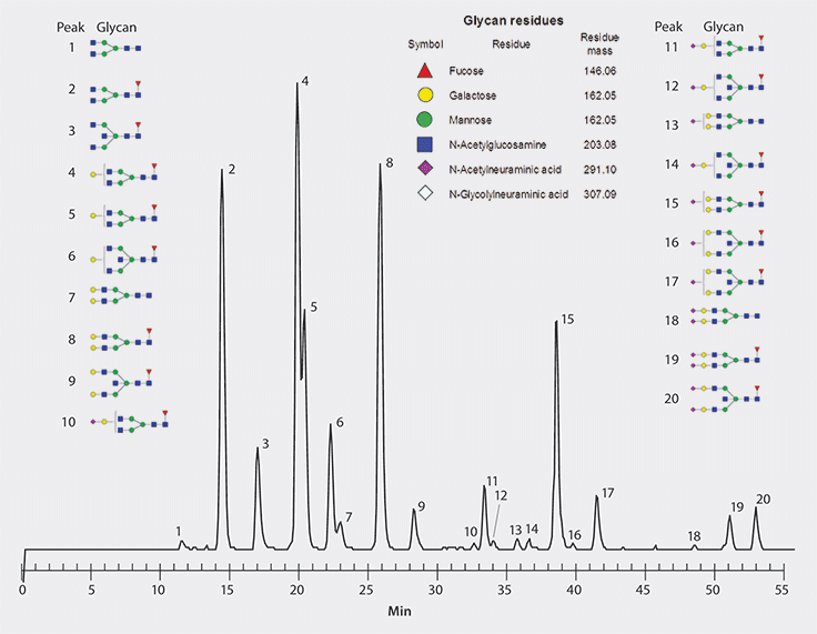 <br>A sample of human IgG glycans was analyzed on a BIOshell™ Glycan HPLC Column resulting in the identification of 20 distinct peaks. Excellent separation as well as symmetrical peak shape can be observed in the chromatogram. Separation of Procainamide Labeled Human IgG Glycans