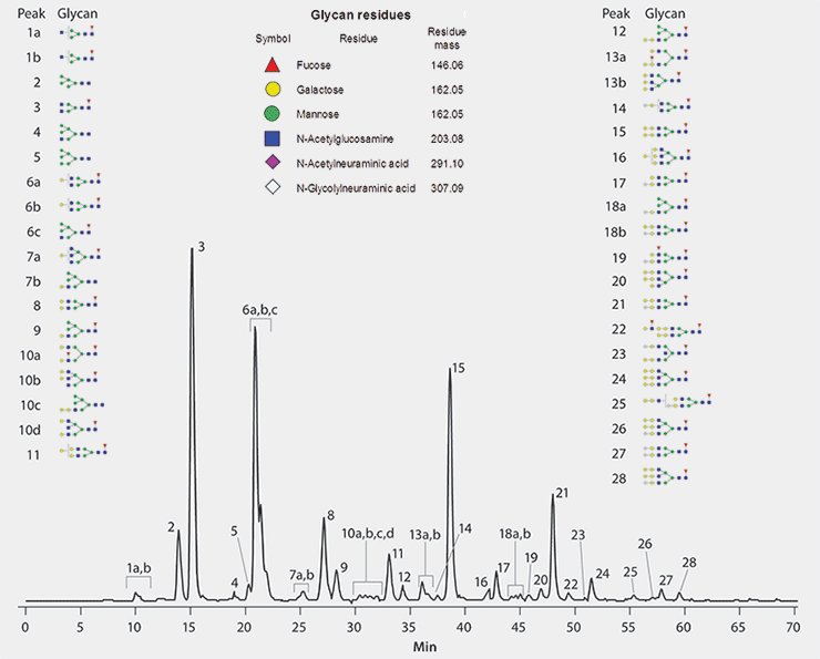 <br>Cetuximab is a chimeric mouse-human IgG1 monoclonal antibody against the epidermal growth factor receptor. It is used to treat head and neck as well as colorectal cancers. The antibody is N-glycosylated both in the Fc and Fab regions, which have been shown to impact safety and quality of the drug. Thus, understanding glycosylation patterns is exceptionally important. As shown in this application report, the BIOshell™ Glycan column is able to elucidate the complex glycosylation of this biotherapeutic, allowing a better understanding of the drug’s efficacy. Separation of Procainamide Labeled Cetuximab Glycans