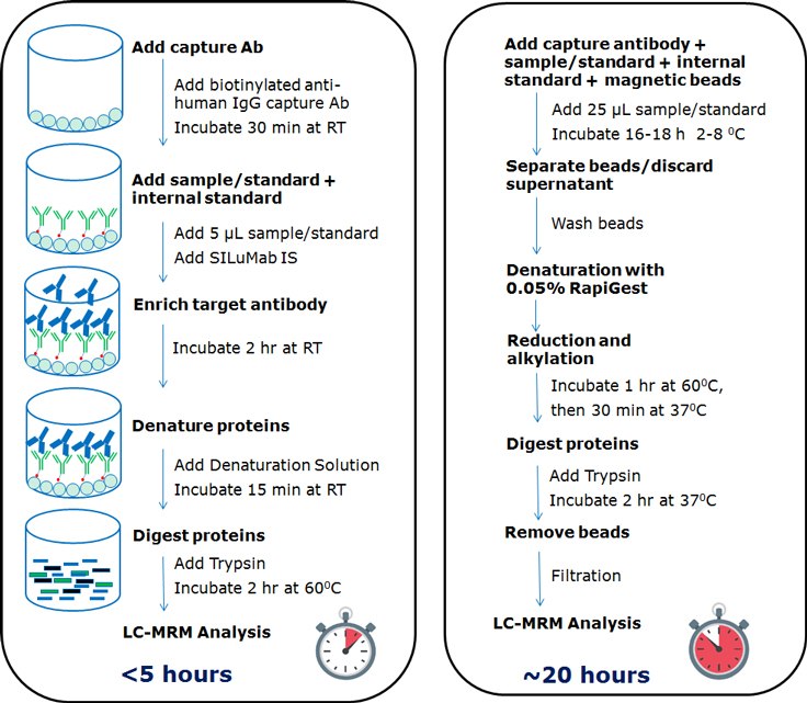 Comparison of universal plate-based and magnetic bead-based workflow for quantification IgG1 antibodies.