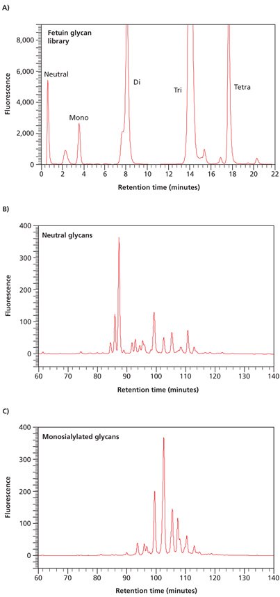 Separation of neutral and acidic glycans of fetuin by weak anion-exchange chromatography