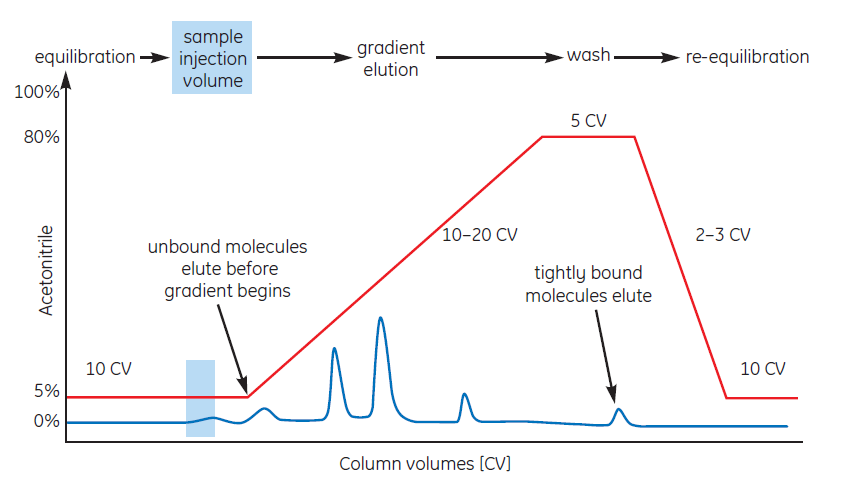 Typical RPC separation using gradient elution