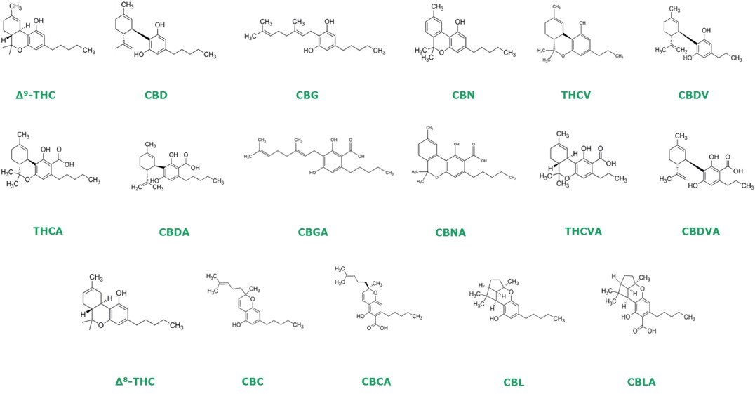 Chemical structure of 17 cannabinoids Chemical structure of 17 cannabinoids