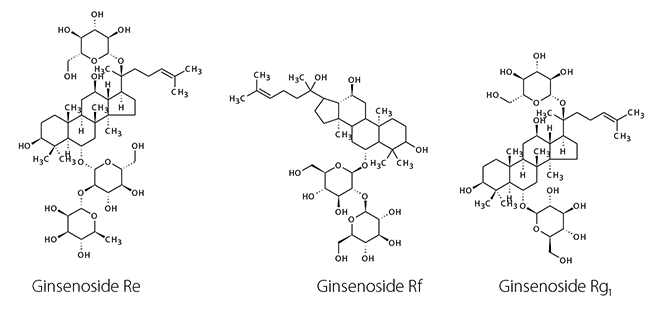 Chemical structures of the analyzed ginsenosides Chemical structures of the analyzed ginsenosides